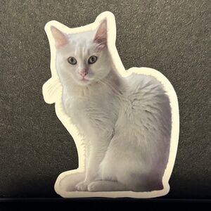 WHITE CAT STICKER
